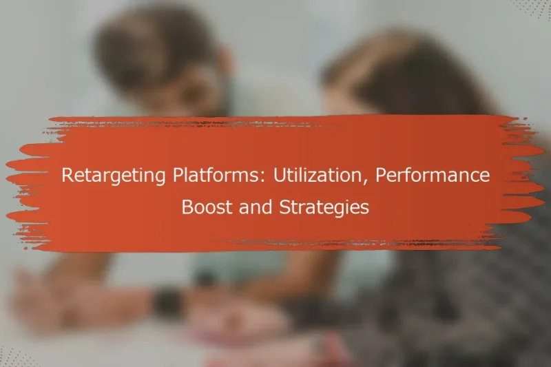 リターゲティングプラットフォーム: 利用法、パフォーマンス向上および戦略